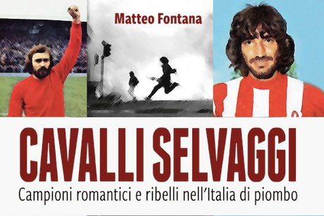 cavalli selvaggi